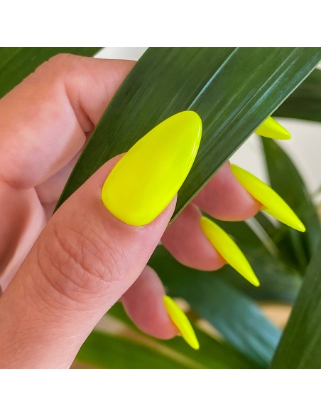 Semipermanente RK08 Fluo Spedizione in 24H Benail it