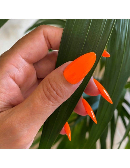 Semipermanente RK09 Fluo Spedizione in 24H Benail it