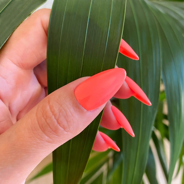 Semipermanente Symphony 30 Spedizione in 24H Benail it