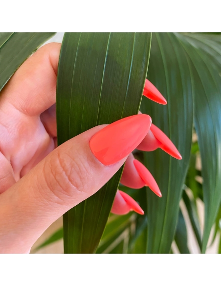 Semipermanente Symphony 30 Spedizione in 24H Benail it