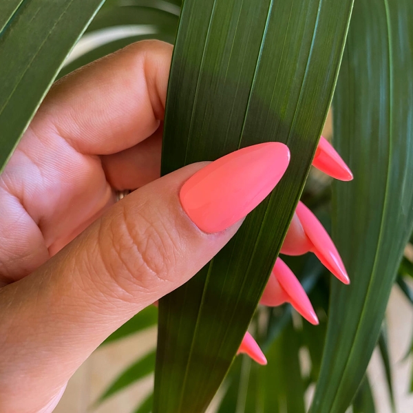 Semipermanente RK41 Spedizione in 24H Benail it