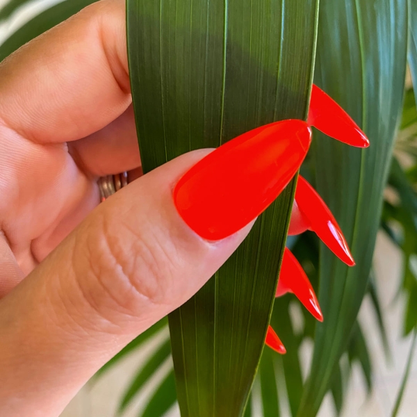 Semipermanente Fluo RK109 Spedizione in 24H Benail it