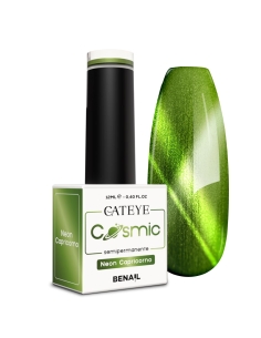 Smalto Semipermanente Cat Eye - Neon Capricorno